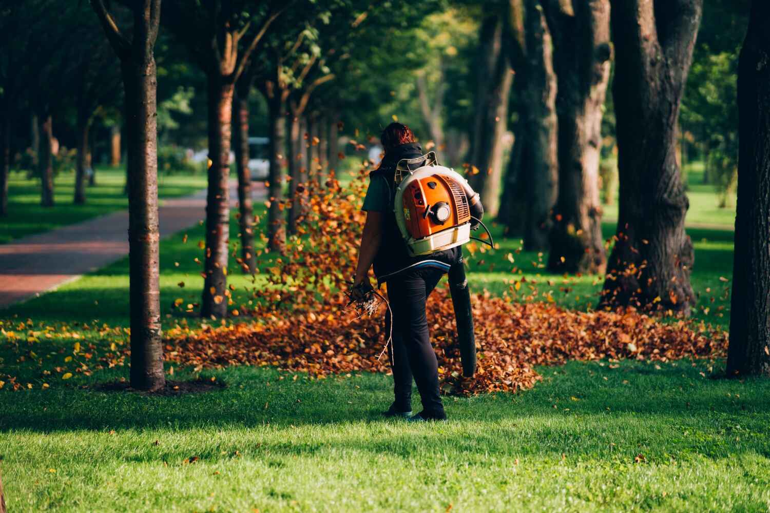 Best Tree Stump Removal  in Seminole Manor, FL